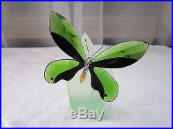 Swarovski Paradise Anamosa Moss Green Butterfly Figurine With Stand Box & COA