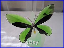 Swarovski Paradise Anamosa Moss Green Butterfly Figurine With Stand Box & COA