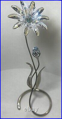 Swarovski Paradise Flower Dellaria Aquamarine 94587 Mint in original boxes