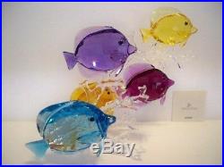 Swarovski Rainbow Fish Family 5223195 / 9100 000 643 Bnib