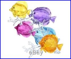 Swarovski Rainbow Fish Family #5223195 Home Decor Crystal Figurine Display Ocean