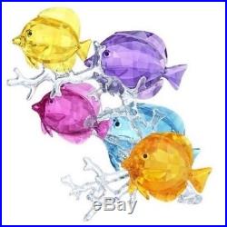 Swarovski Rainbow Fish Family # 5223195 New in Original Box