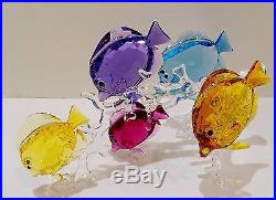 Swarovski Rainbow Fish Family, #5223195, Stunning And Brilliant, Bnib