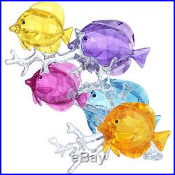 Swarovski Rainbow Fish Family Crystal # 5223195 New 2016 in original box