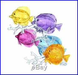 Swarovski Rainbow Fish Family, Tropical Ocean Fish Crystal NEW 5223195