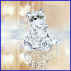 Swarovski Rare Encounters Nature Raccoon Animal White Crystal Figurine 5301563