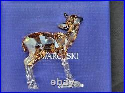 Swarovski SCS 2020 Edition Fawn 5493978 NEW IN BOX Minnesota US seller Swarovski SCS 2020 Edition Fawn 5493978 NEW IN BOX Minnesota US seller