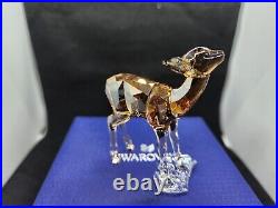 Swarovski SCS 2020 Edition Fawn 5493978 NEW IN BOX Minnesota US seller Swarovski SCS 2020 Edition Fawn 5493978 NEW IN BOX Minnesota US seller