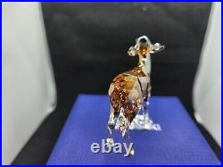 Swarovski SCS 2020 Edition Fawn 5493978 NEW IN BOX Minnesota US seller Swarovski SCS 2020 Edition Fawn 5493978 NEW IN BOX Minnesota US seller