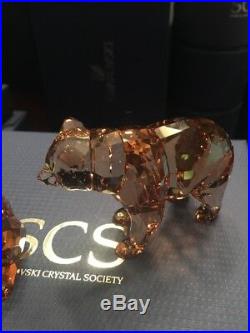 Swarovski SCS Bear Cubs 2017 Crystal Brand new in box 5236593