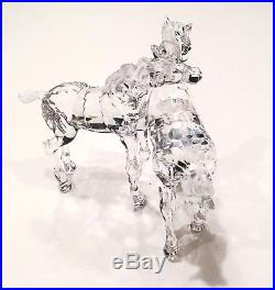 Swarovski SCS Crystal Two Horses / Foals Playing 627637 A 7612 NR 000 003
