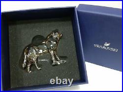 Swarovski SCS Gray Wolf, Gray & Golden Crystal Authentic MIB 5428544