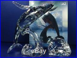 Swarovski Scs Paikea Whale 2012 Mib #1095228
