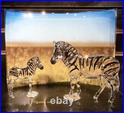 Swarovski Scs zebra Wild Life crystal display