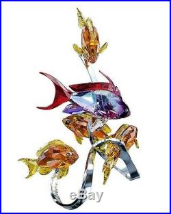 Swarovski Sea Goldies Figurine New 1083778 Topaz Rare Crystal Fish Retired