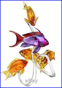 Swarovski Sea Goldies Topaz #1083778 Brand Nib Color Fish Nice Free Shiping