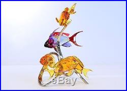 Swarovski Sea Goldies Topaz Colorful Fishes SIGNED 1083778 Brand New In Box