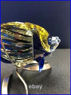 Swarovski Silver Crystal Emperor Angelfish Jonquil 1072590 Mint In Box