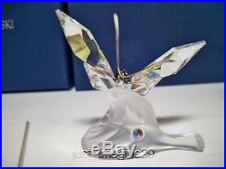 Swarovski Sparkling Butterfly 1113559 Bnib