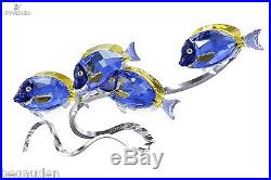 Swarovski Surgeonfish Scuba Blue, Surgeon Fish Crystal Paradise 1034023 Retired