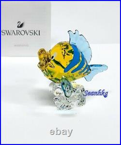 Swarovski The Little Mermaid Flounder Disney Tropical Fish Crystal MIB 5552917