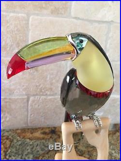 Swarovski Toucan-Bird of Paradise