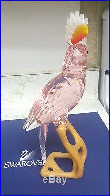 Swarovski-crystal-paradise-cockatoo-bird-red-figurine-in-box-718565-retired Mint
