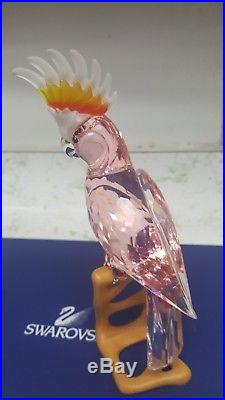 Swarovski-crystal-paradise-cockatoo-bird-red-figurine-in-box-718565-retired Mint