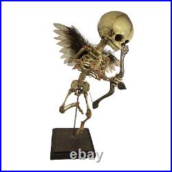 Vintage Cupid Skeleton Fetus Angel Oddity Valentine's Day Medical Model Gaff OS
