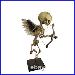 Vintage Cupid Skeleton Fetus Angel Oddity Valentine's Day Medical Model Gaff OS