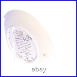 Whimsical World of Pocket Dragons Vintage Resin Sherlock Holmes Signed Plate 8